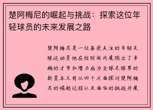 楚阿梅尼的崛起与挑战：探索这位年轻球员的未来发展之路