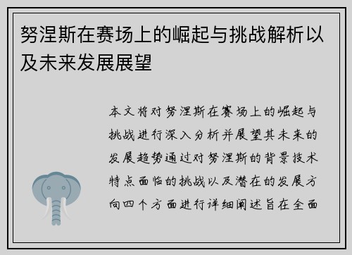 努涅斯在赛场上的崛起与挑战解析以及未来发展展望