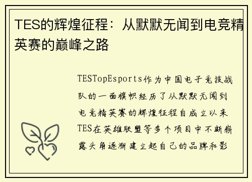 TES的辉煌征程：从默默无闻到电竞精英赛的巅峰之路